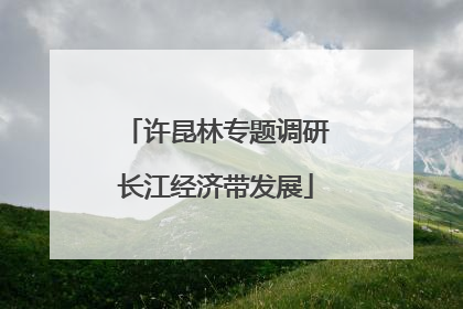 许昆林专题调研长江经济带发展