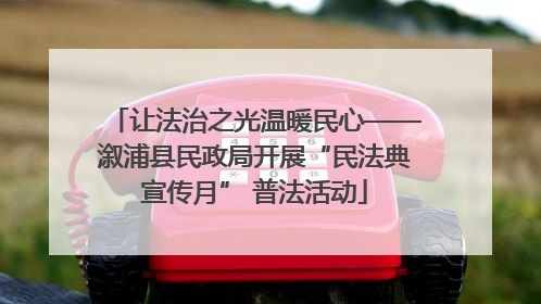 让法治之光温暖民心——溆浦县民政局开展“民法典宣传月” 普法活动