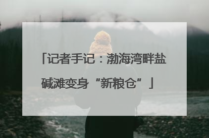 记者手记：渤海湾畔盐碱滩变身“新粮仓”