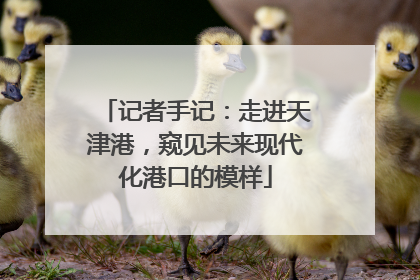 记者手记：走进天津港，窥见未来现代化港口的模样