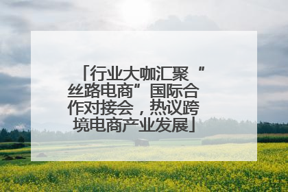 行业大咖汇聚“丝路电商”国际合作对接会，热议跨境电商产业发展