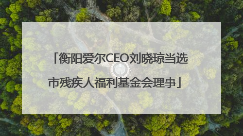 衡阳爱尔CEO刘晓琼当选市残疾人福利基金会理事