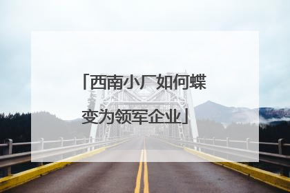 西南小厂如何蝶变为领军企业