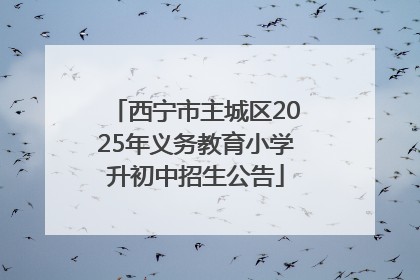 西宁市主城区2025年义务教育小学升初中招生公告