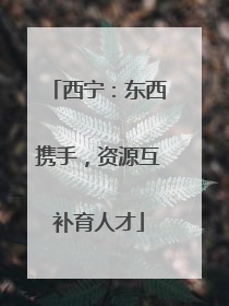 西宁：东西携手，资源互补育人才