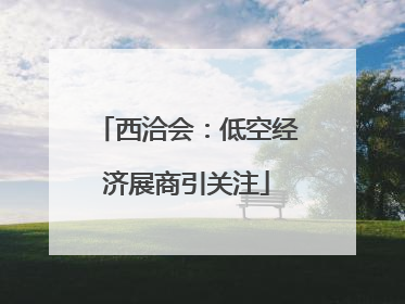 西洽会：低空经济展商引关注