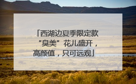 西湖边夏季限定款“臭美”花儿盛开，高颜值，只可远观