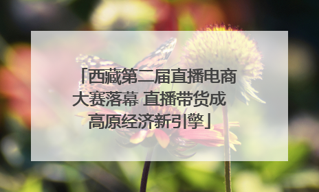 西藏第二届直播电商大赛落幕 直播带货成高原经济新引擎
