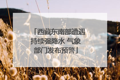 西藏东南部遭遇持续强降水 气象部门发布预警