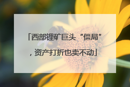 西部锂矿巨头“僵局”，资产打折也卖不动