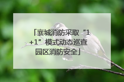 襄城消防采取“1+1”模式动态巡查园区消防安全