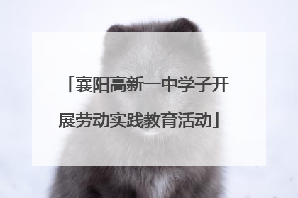 襄阳高新一中学子开展劳动实践教育活动
