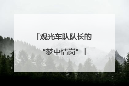 观光车队队长的“梦中情岗”