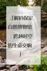 解码保定自然博物馆：跨越时空的生命交响