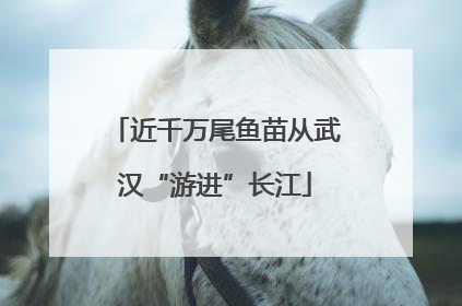 近千万尾鱼苗从武汉“游进”长江