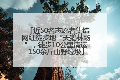 近50名志愿者集结网红徒步地“天鹅林场”，徒步10公里清运150余斤山野垃圾