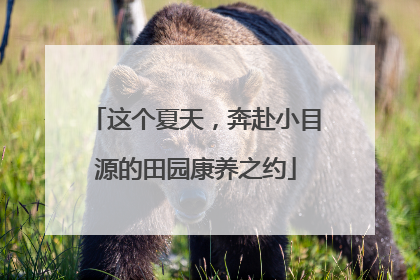 这个夏天，奔赴小目源的田园康养之约