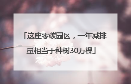 这座零碳园区，一年减排量相当于种树30万棵