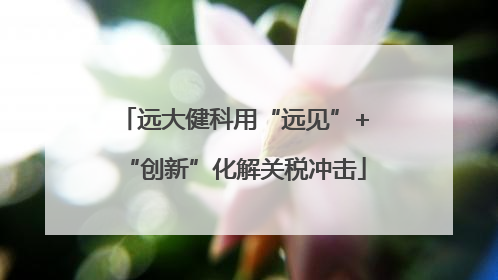 远大健科用“远见”+“创新”化解关税冲击