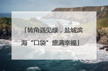 转角遇见绿，盐城滨海“口袋”盛满幸福