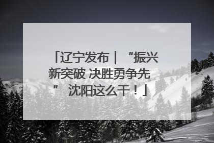 辽宁发布｜“振兴新突破 决胜勇争先” 沈阳这么干！