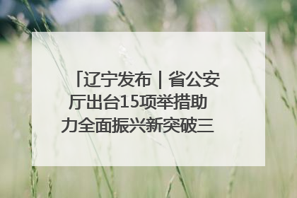 辽宁发布｜省公安厅出台15项举措助力全面振兴新突破三年行动决胜之战