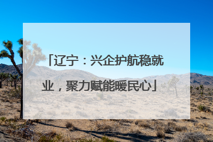 辽宁：兴企护航稳就业，聚力赋能暖民心