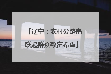 辽宁：农村公路串联起群众致富希望