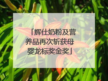 辉仕奶粉及营养品再次斩获母婴龙标奖金奖