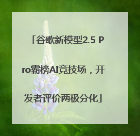 谷歌新模型2.5 Pro霸榜AI竞技场，开发者评价两极分化