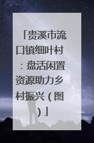 贵溪市流口镇细叶村：盘活闲置资源助力乡村振兴（图）