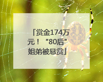 赏金174万元！“80后”姐弟被悬赏