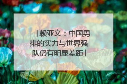 赖亚文：中国男排的实力与世界强队仍有明显差距