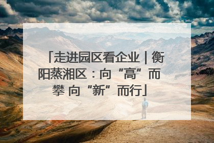 走进园区看企业｜衡阳蒸湘区：向“高”而攀 向“新”而行