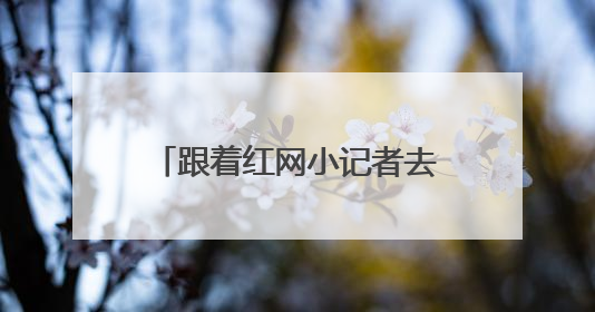跟着红网小记者去采访，这堂穿越时空的新闻课太有料