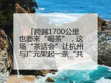 跨越1700公里也要来“喝茶”，这场“茶话会”让杭州与广元架起一条“共富之路”