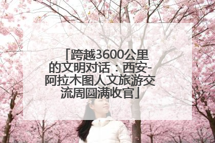 跨越3600公里的文明对话：西安-阿拉木图人文旅游交流周圆满收官