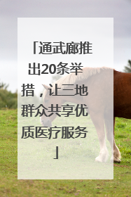 通武廊推出20条举措，让三地群众共享优质医疗服务