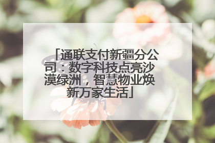 通联支付新疆分公司：数字科技点亮沙漠绿洲，智慧物业焕新万家生活