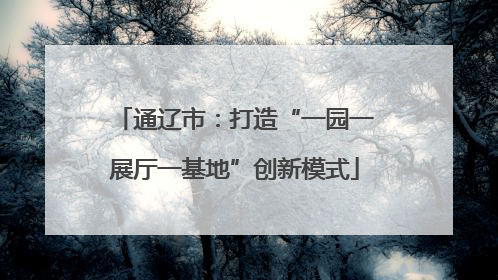 通辽市：打造“一园一展厅一基地”创新模式