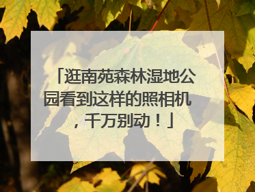 逛南苑森林湿地公园看到这样的照相机，千万别动！