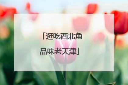 逛吃西北角 品味老天津