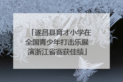 遂昌县育才小学在全国青少年打击乐展演浙江省赛获佳绩
