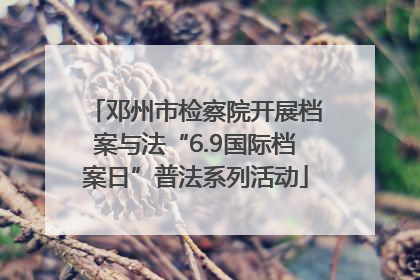 邓州市检察院开展档案与法“6.9国际档案日”普法系列活动