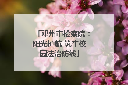 邓州市检察院：阳光护航 筑牢校园法治防线