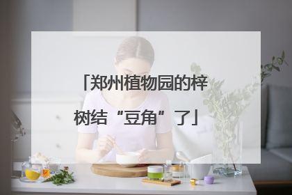 郑州植物园的梓树结“豆角”了