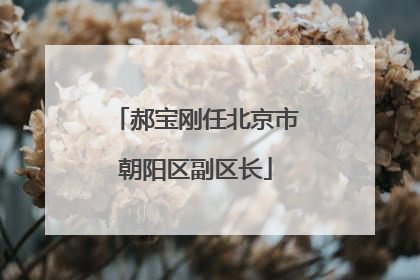 郝宝刚任北京市朝阳区副区长