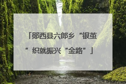 郧西县六郎乡“银茧”织就振兴“金路”