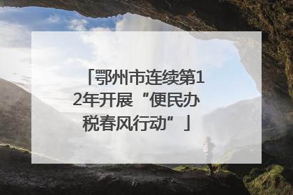 鄂州市连续第12年开展“便民办税春风行动”