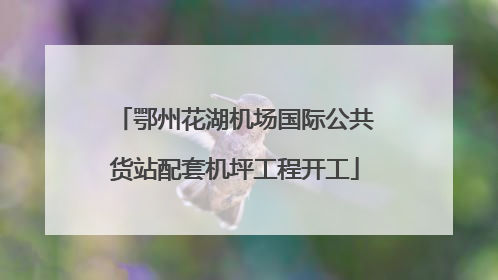 鄂州花湖机场国际公共货站配套机坪工程开工